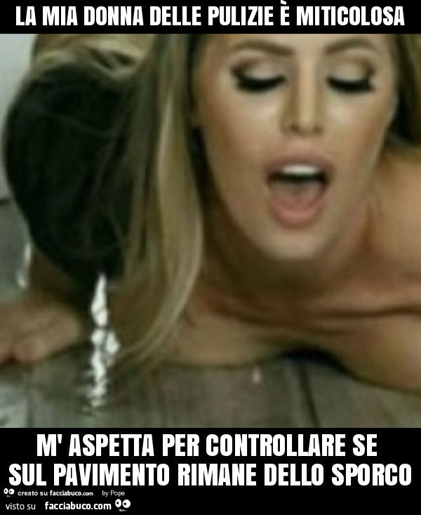La mia donna delle pulizie è miticolosa m' aspetta per controllare se sul pavimento rimane dello sporco