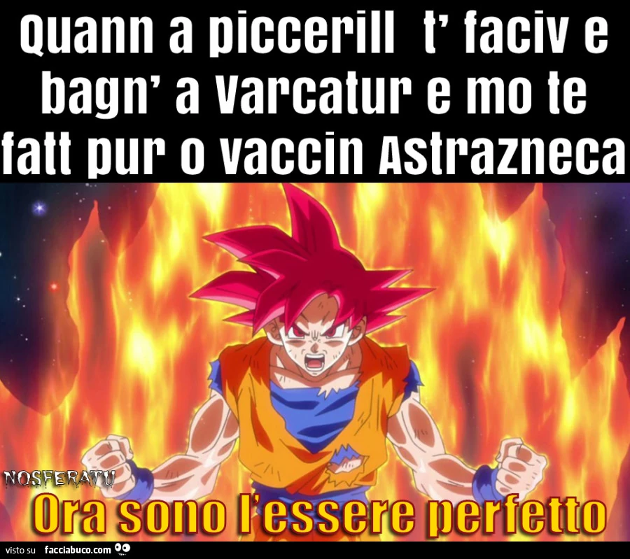 Vaccata