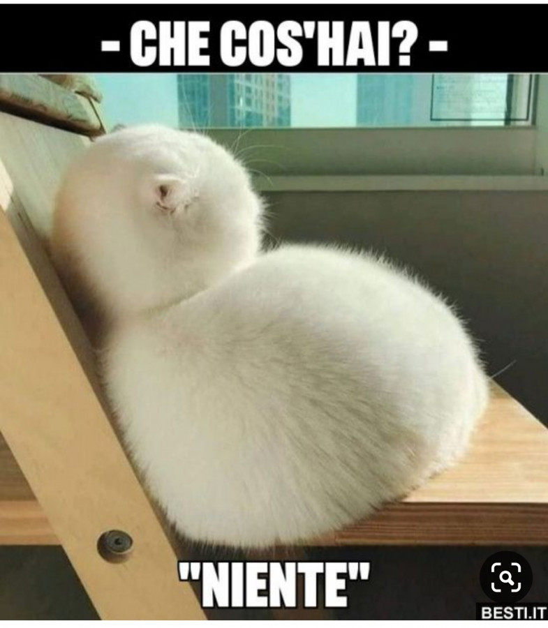 "Niente"