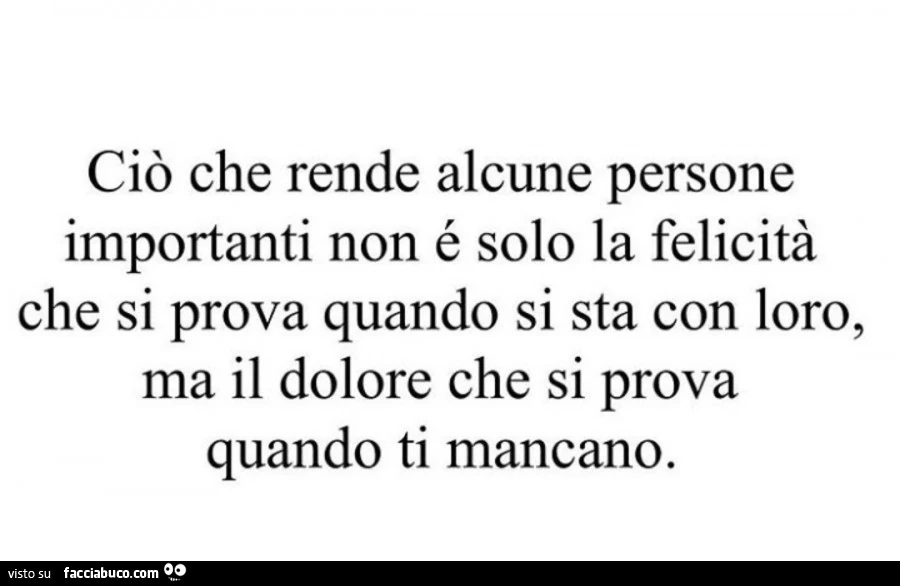 Ciò che rende alcune persone importanti non é solo la felicità che si prova quando si sta con loro, ma il dolore che si prova quando ti mancano