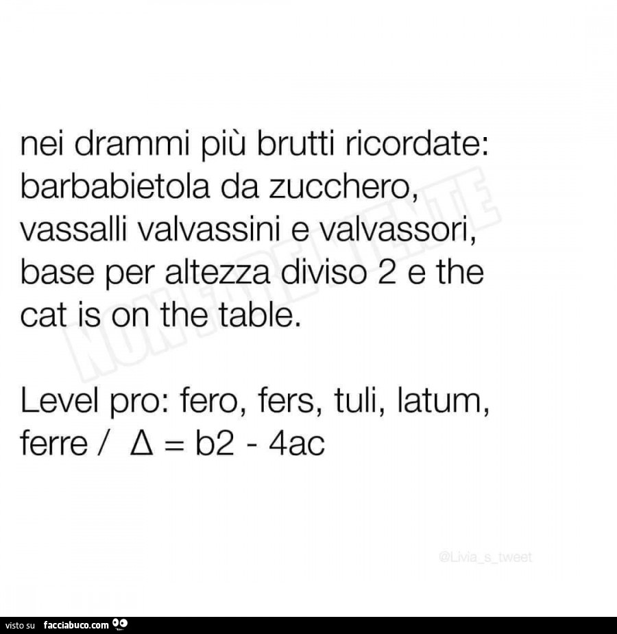 Nei drammi più brutti ricordate: barbabietola da zucchero, vassalli valvassini e valvassori, base per altezza diviso 2 e the cat is on the table