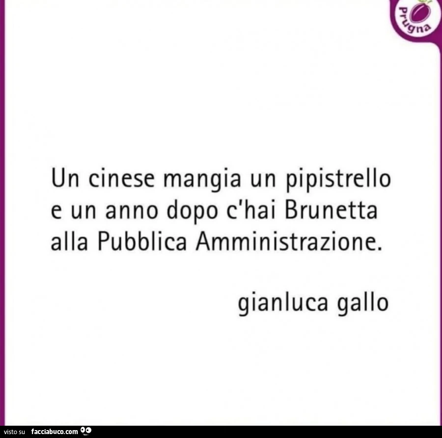 Un cinese mangia un pipistrello e un anno dopo c'hai brunetta alla pubblica amministrazione
