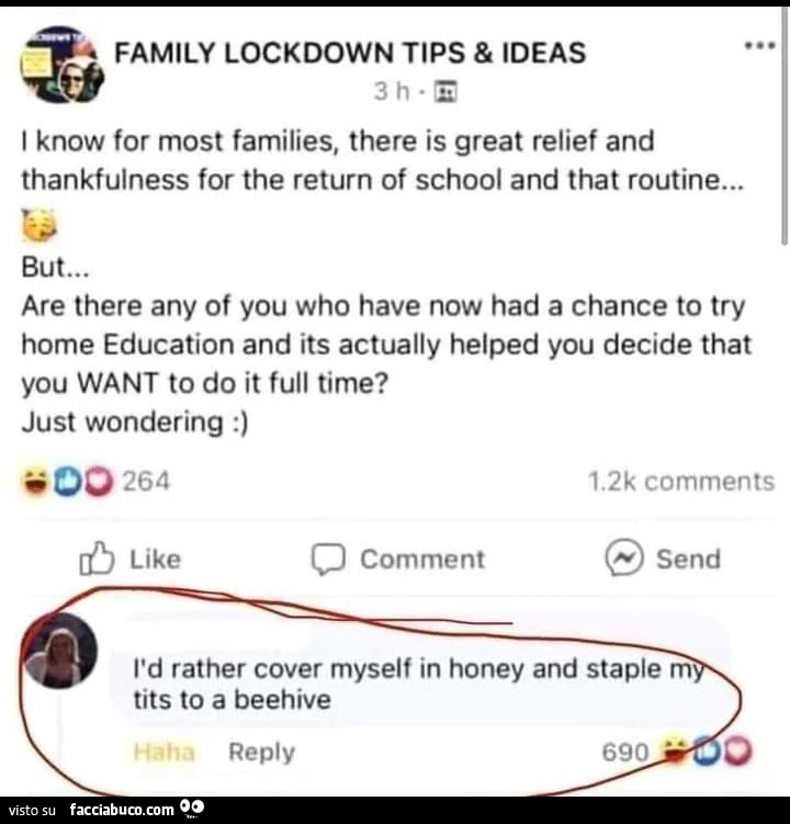 L'd rather cover myself in honey and staple di tits to a beehive