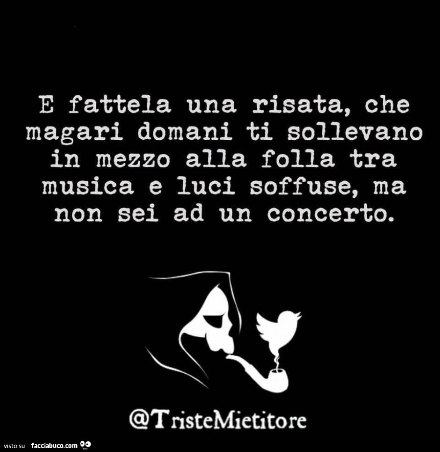 E fattela una risata, che magari domani ti sollevano in mezzo alla folla tra musica e luci soffuse, ma non sei ad un concerto
