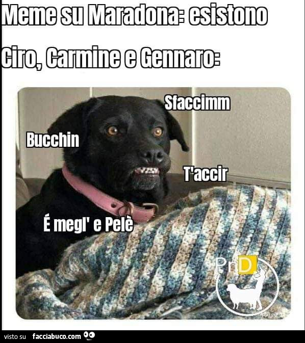 Meme su Maradona