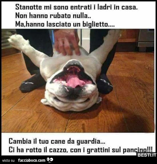 Vaccata