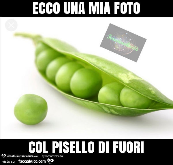 Ecco una mia foto col pisello di fuori