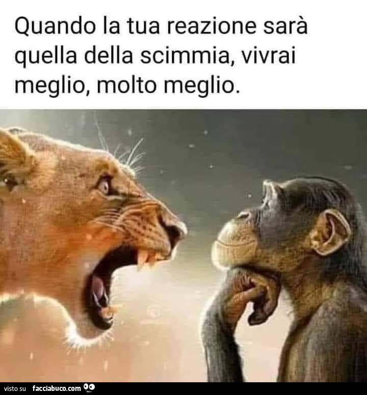 Quando la tua reazione sarà quella della scimmia, vivrai meglio, molto meglio