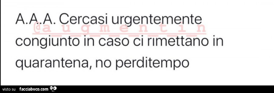 A. A. A. Cercasi urgentemente congiunto in caso ci rimettano in quarantena, no perditempo