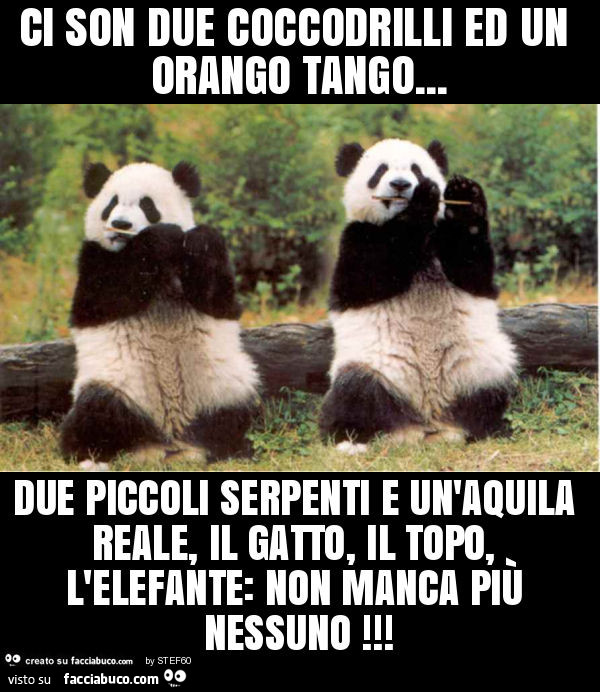 Ci son due coccodrilli ed un orango tango… due piccoli serpenti e un'aquila reale, il gatto, il topo, l'elefante: non manca più nessuno