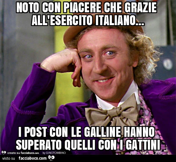 Noto con piacere che grazie all'esercito italiano&hellip; i post con le galline hanno superato quelli con i gattini