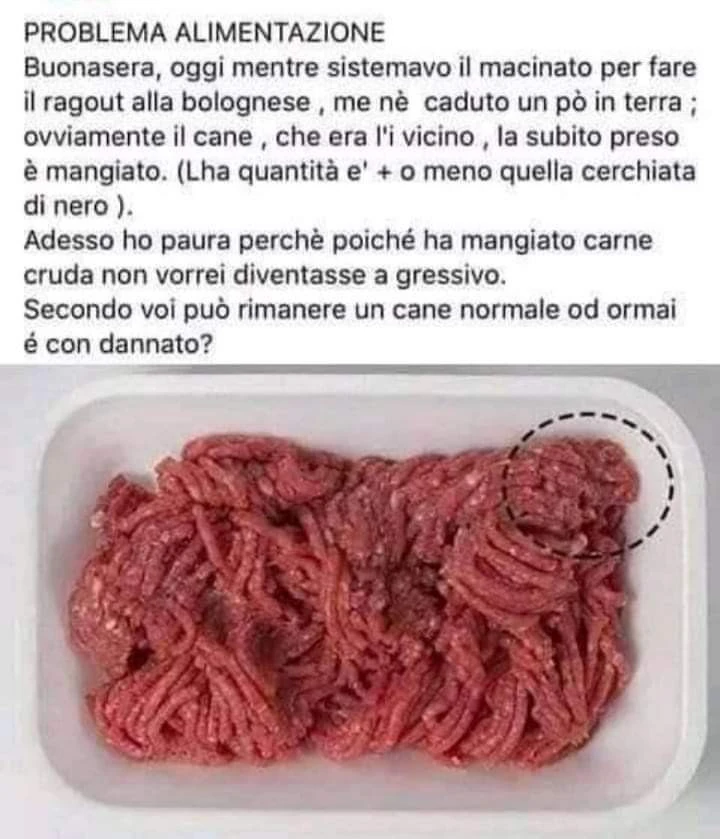 Vaccata