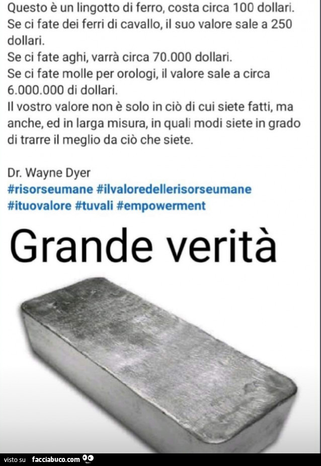 Questo è un lingotto di ferro, costa circa 100 dollari. Se ci fate dei ferri di cavallo, il suo valore sale a 250 dollari. Se ci fate aghi, varrà circa 70.000 dollari. Se ci fate molle per orologi, il valore sale a circa 6.000.000 di dollari