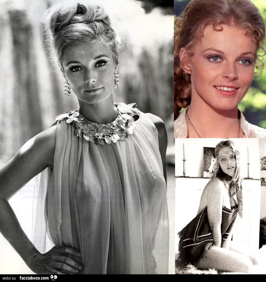 TIMELESS DIVAS