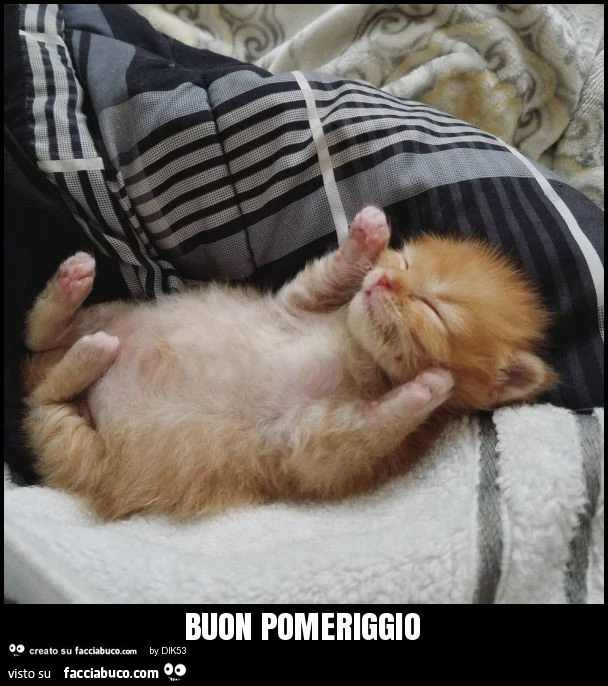 Buon pomeriggio