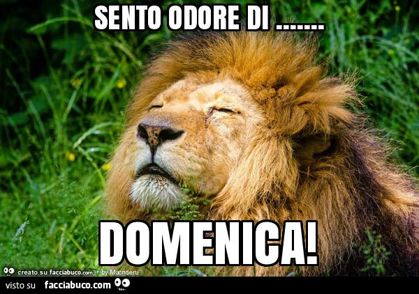 Sento odore di&hellip; domenica