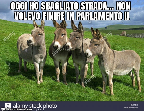 Oggi ho sbagliato strada&hellip; non volevo finire in parlamento