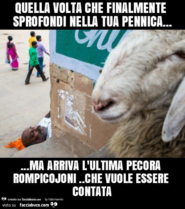 Quella volta che finalmente sprofondi nella tua pennica&hellip; ma arriva l'ultima pecora rompicojoni. Che vuole essere contata