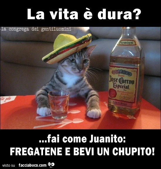 Buona serata amici🥴