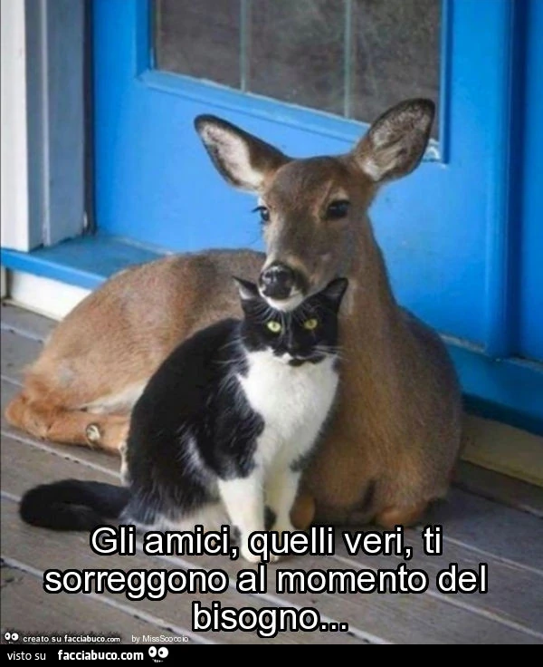 Gli amici, quelli veri, ti sorreggono al momento del bisogno