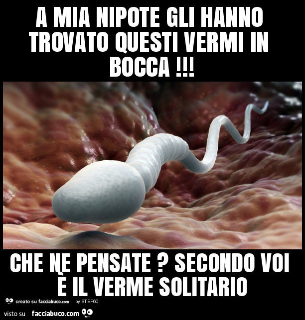 A mia nipote gli hanno trovato questi vermi in bocca! Che ne pensate? Secondo voi è il verme solitario