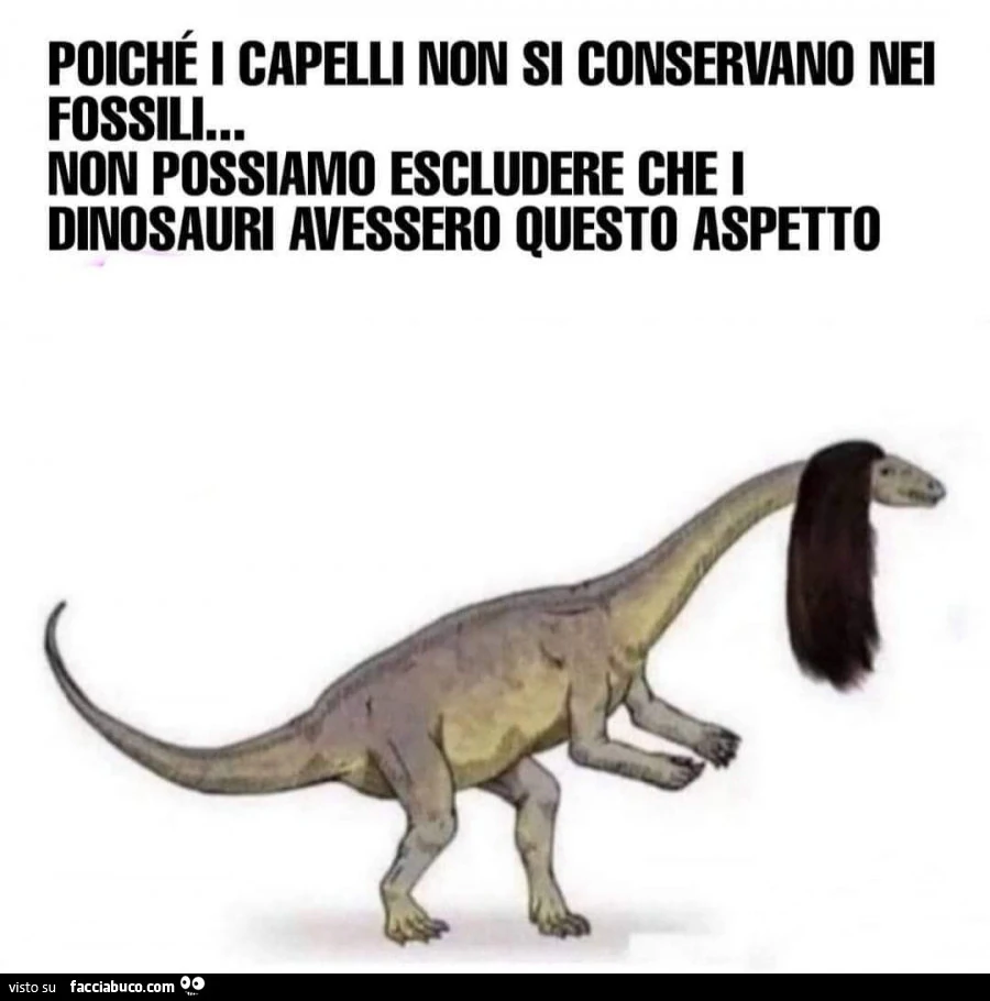Poiché i capelli non si conservano nei fossili&hellip; non possiamo escludere che i dinosauri avessero questo aspetto