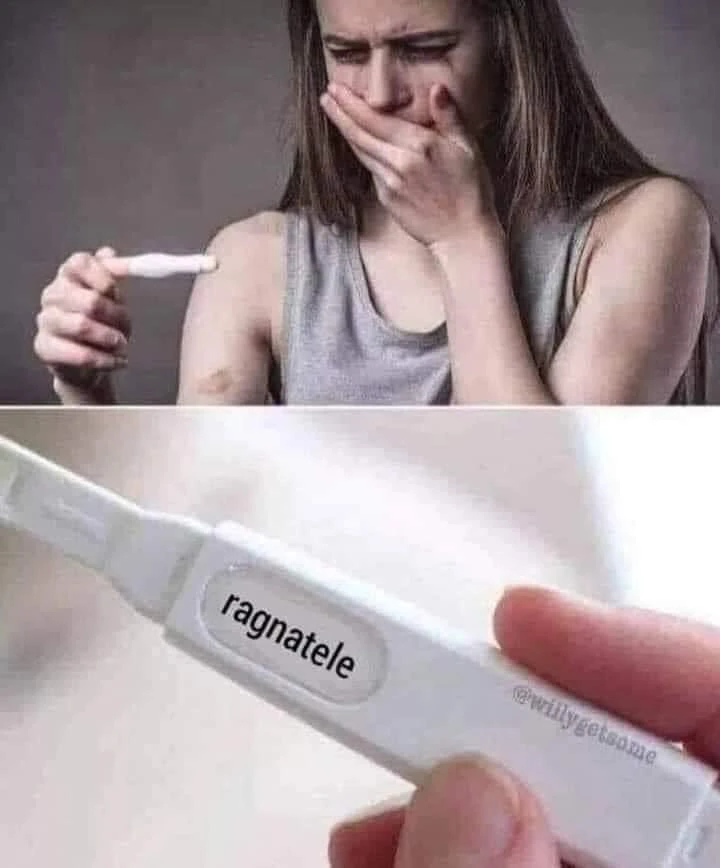 Ragnatele