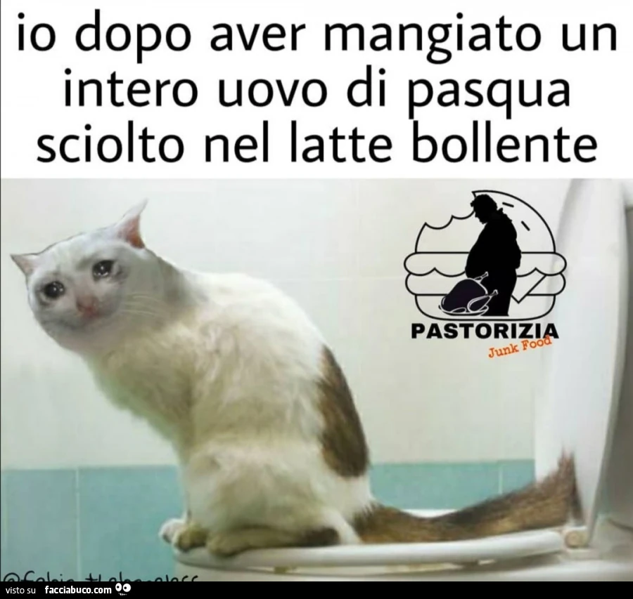 Vaccata