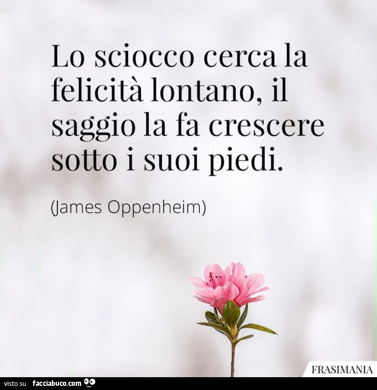 Lo sciocco cerca la felicità lontano, il saggio la fa crescere sotto i suoi piedi. James Oppenheim