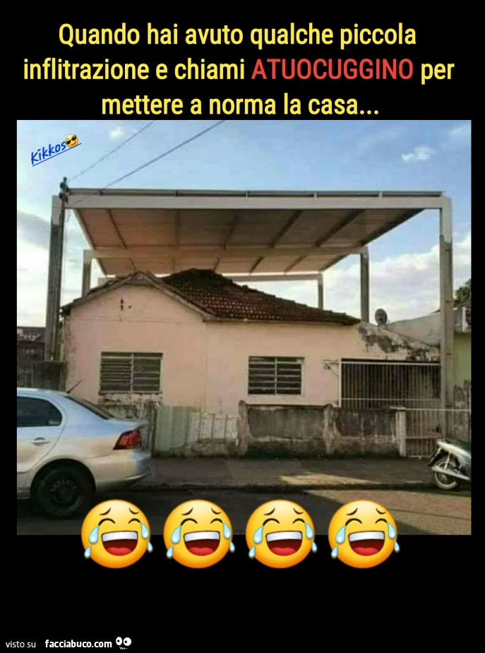 Vaccata