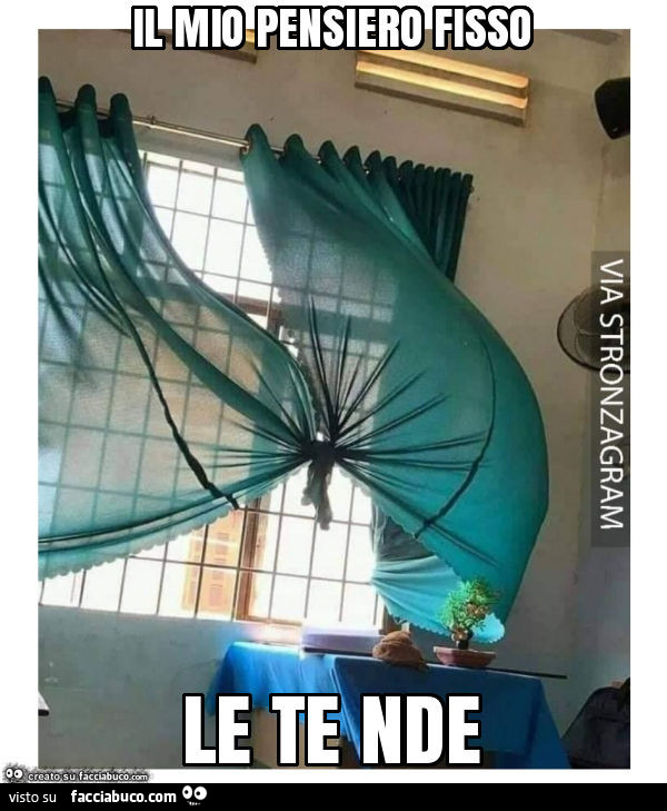 Il mio pensiero fisso le te nde