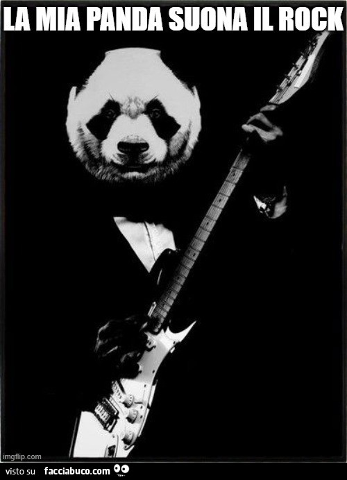 La mia Panda suona il Rock