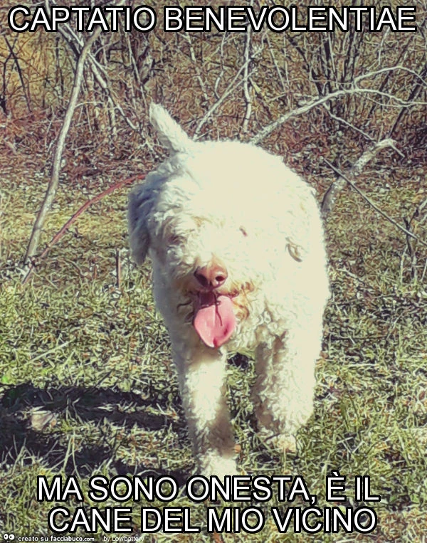 Captatio benevolentiae ma sono onesta, è il cane del mio vicino