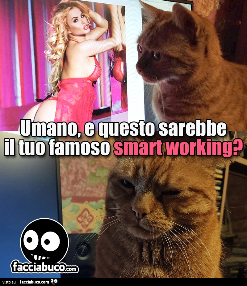 Umano, e questo sarebbe il tuo famoso smart working?