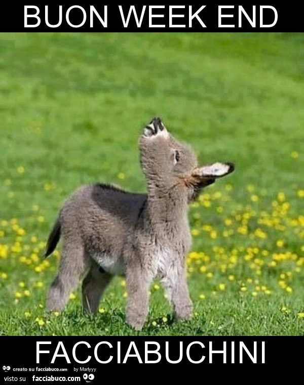 Buon week end facciabuchini