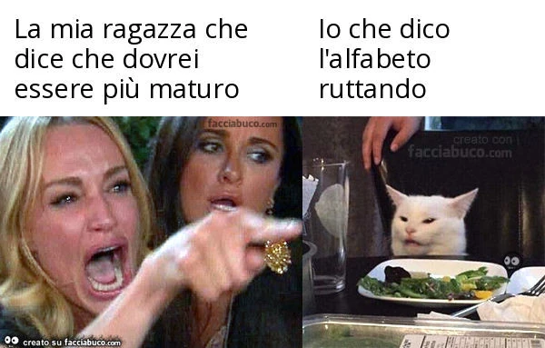 La mia ragazza che dice che dovrei essere più maturo. Io che dico l'alfabeto ruttando