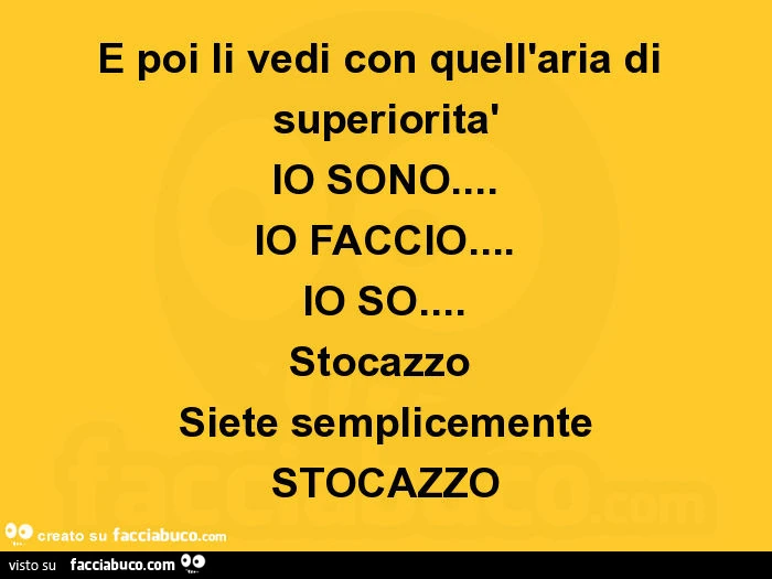 E poi li vedi con quell'aria di superiorità io sono&hellip; io faccio&hellip; io so&hellip; stocazzo siete semplicemente stocazzo