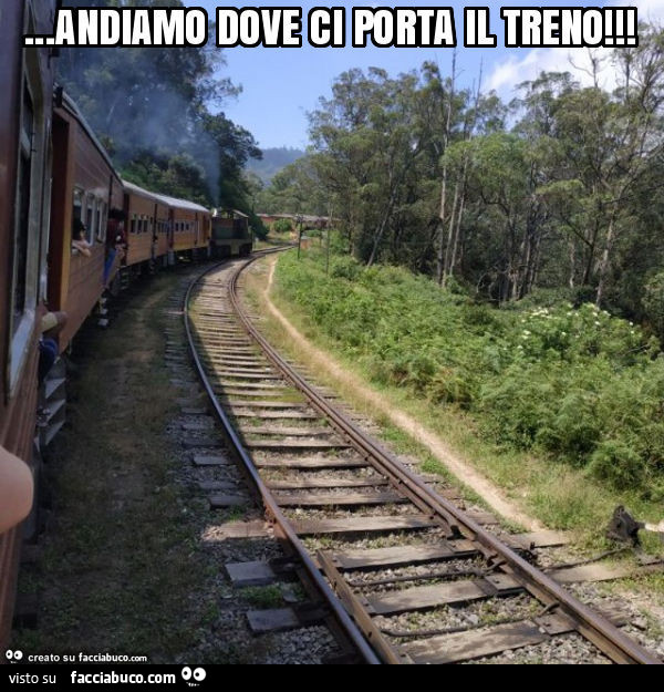 Andiamo dove ci porta il treno