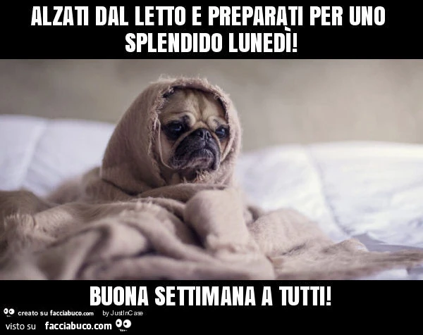 Alzati dal letto e preparati per uno splendido lunedì! Buona settimana a tutti