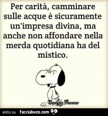 Per carità, camminare sulle acque