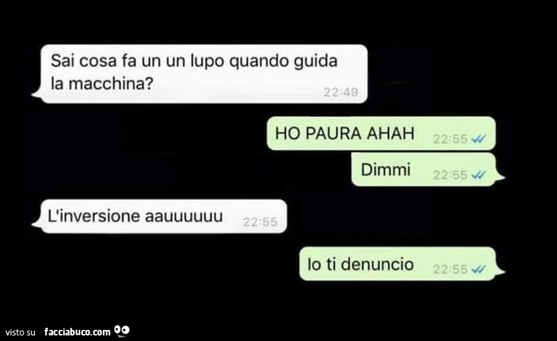 Sai cosa fa un un lupo quando guida la macchina? Ho paura ahah dimmi. L'inversione aauuuuuu. Io ti denuncio