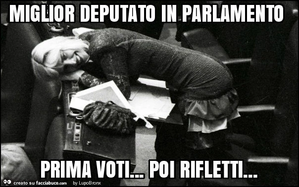 Miglior deputato in parlamento prima voti&hellip; poi rifletti