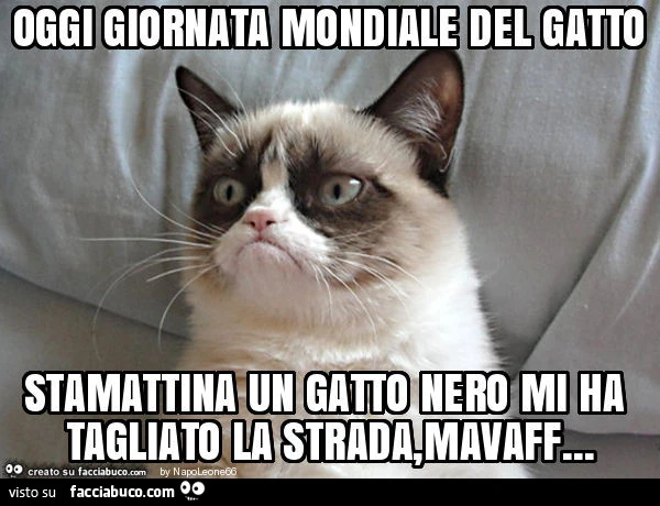 Oggi giornata mondiale del gatto stamattina un gatto nero mi ha tagliato la strada, mavaff