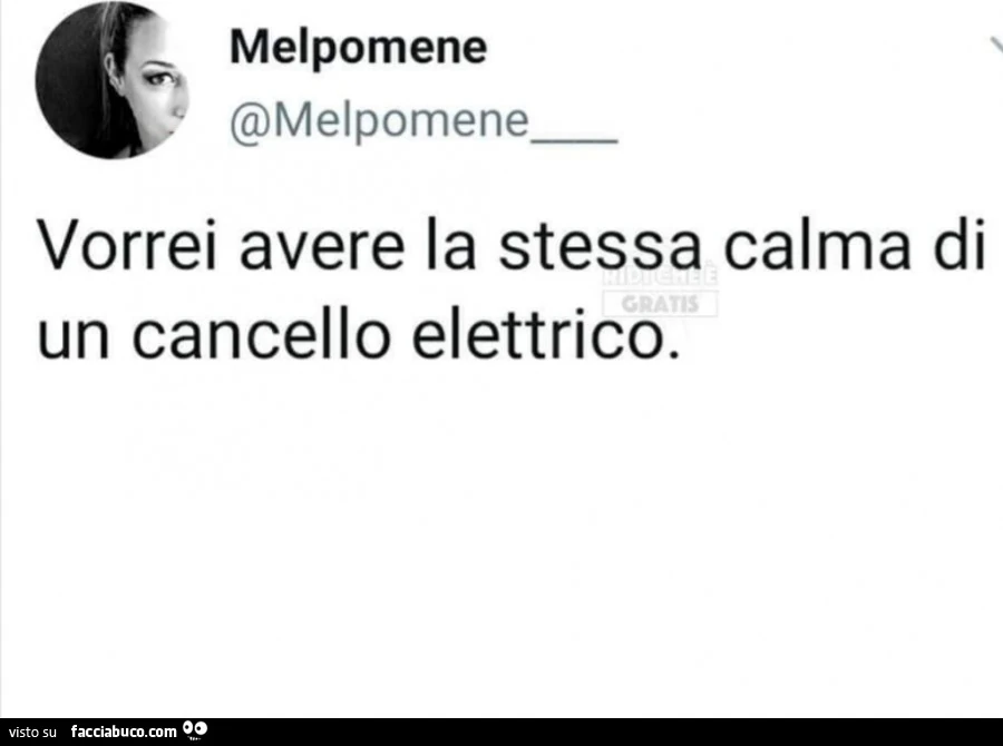 Vorrei avere la stessa calma di un cancello elettrico