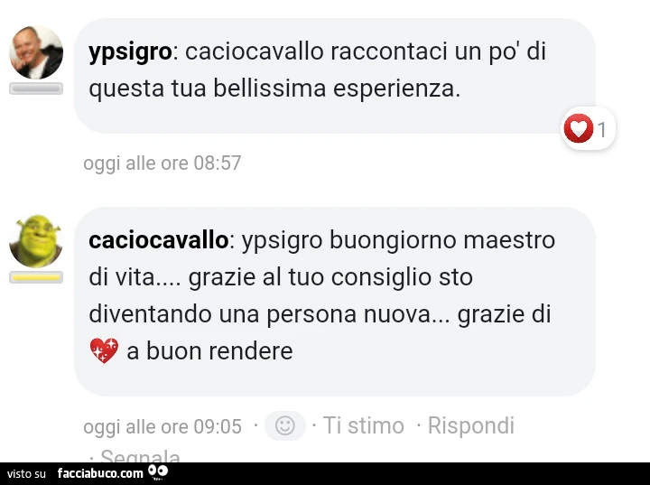 Ypsigro: caciocavallo raccontaci un po' di questa tua bellissima esperienza. Caciocavallo: ypsigro buongiorno maestro di vita&hellip; grazie al tuo consiglio sto diventando una persona nuova&hellip; grazie di a buon rendere