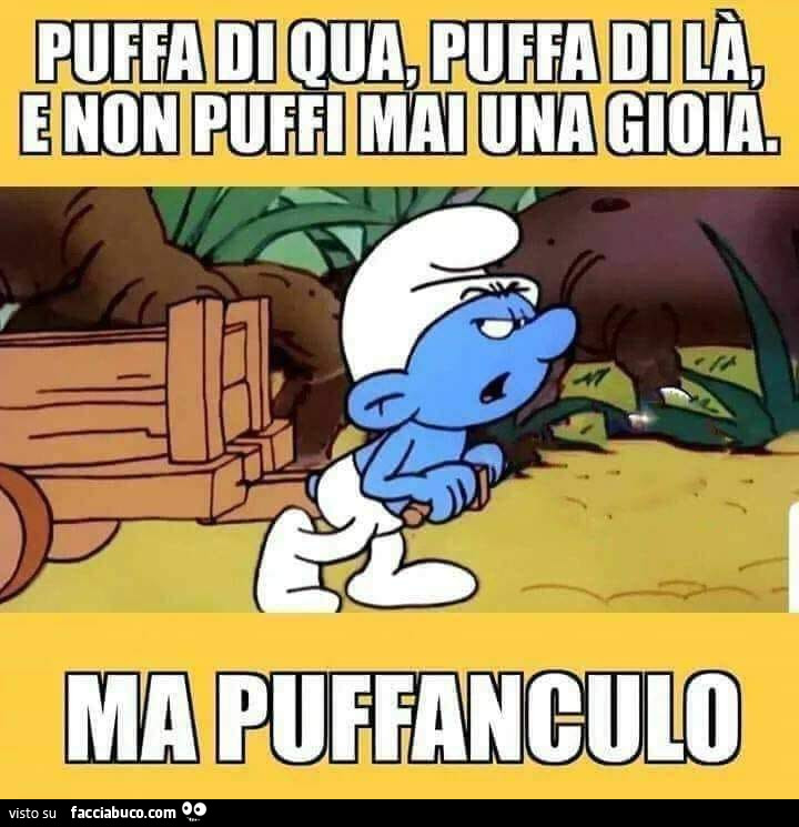 Tutti I Meme Su Mai Una Gioia - Facciabuco.com