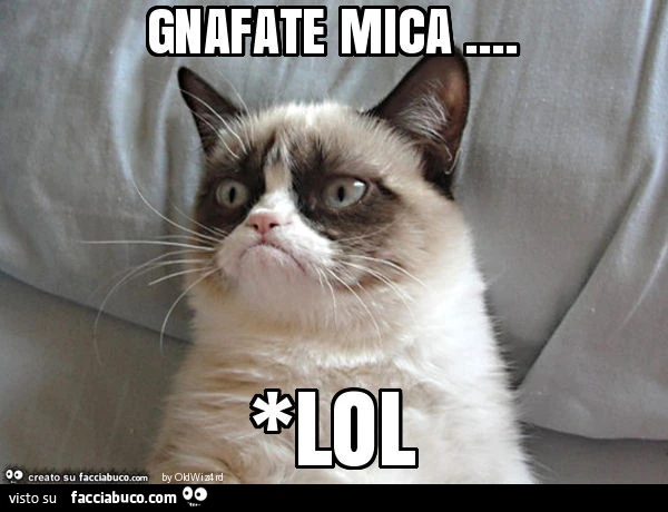 Gnafate mica&hellip; *lol