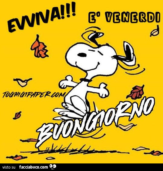 Evviva è venerdì. Buongiorno