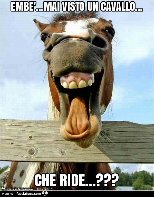 Embè… mai visto un cavallo… che ride… ?
