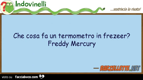 Cosa fa un termometro in freezer?